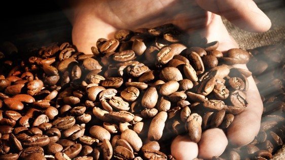 AlzaCafé Crema kávé, szemes, 1000g