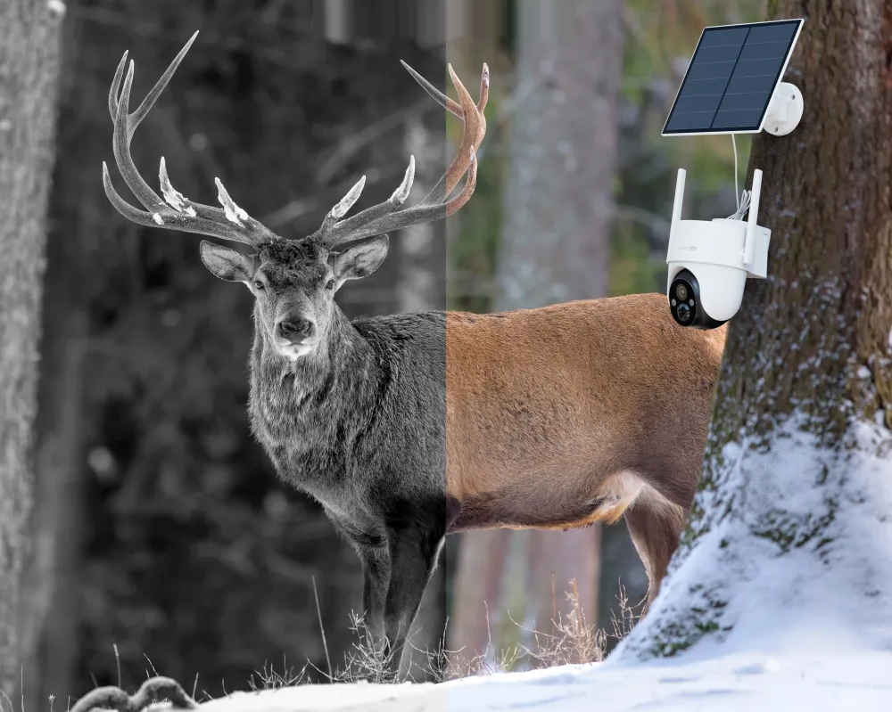 ARENTI Wire-Free Outdoor 3MP/2K Pan-Tilt 4G/LTE Battery Camera IP kamera