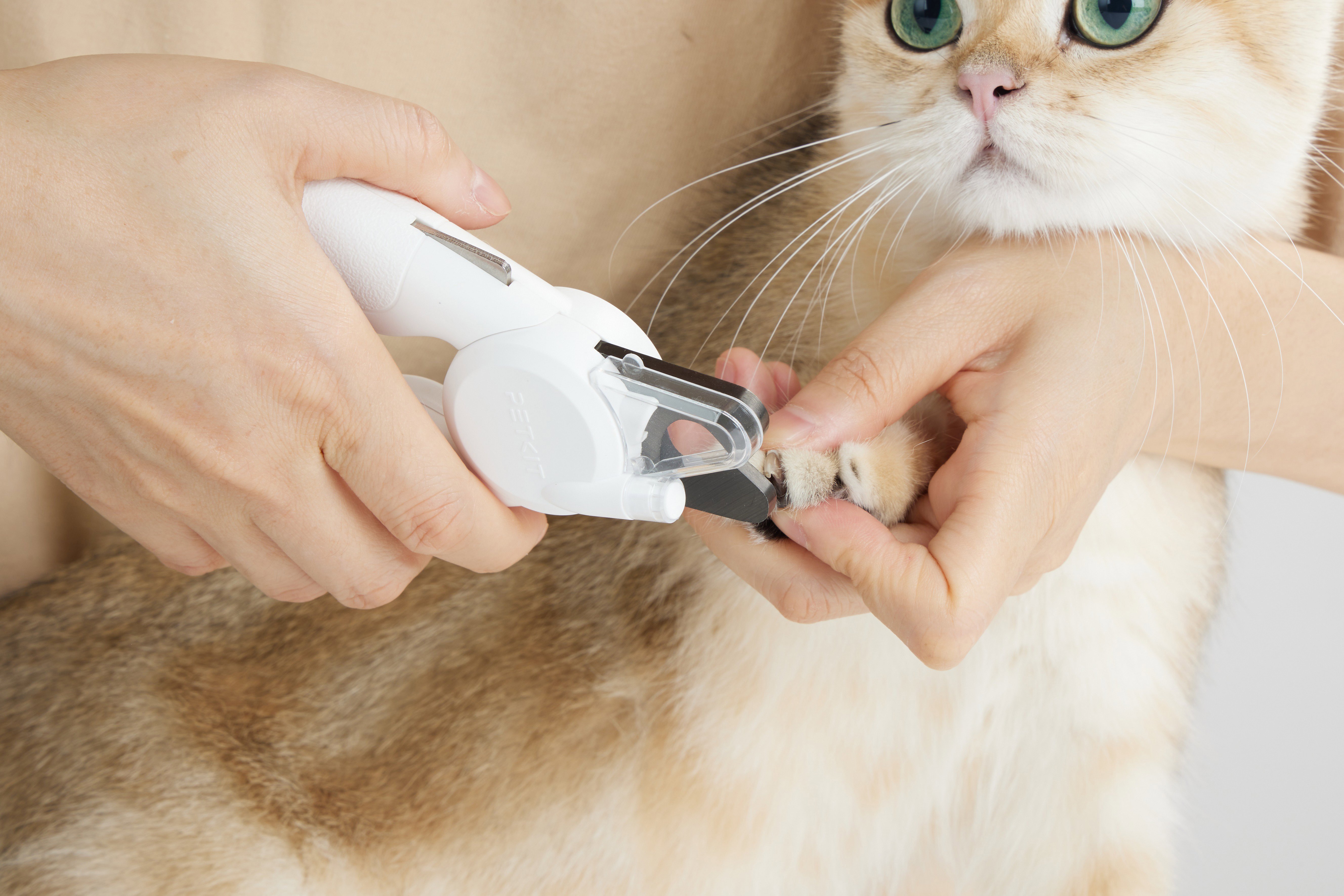 Petkit Pet LED Nail Clipper PRO karomvágó
