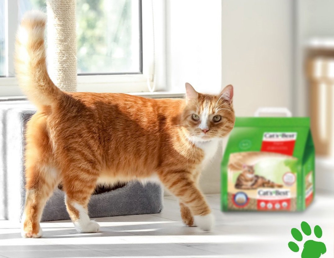 Cat's Best Original macskaalom 10 l / 4,3 kg