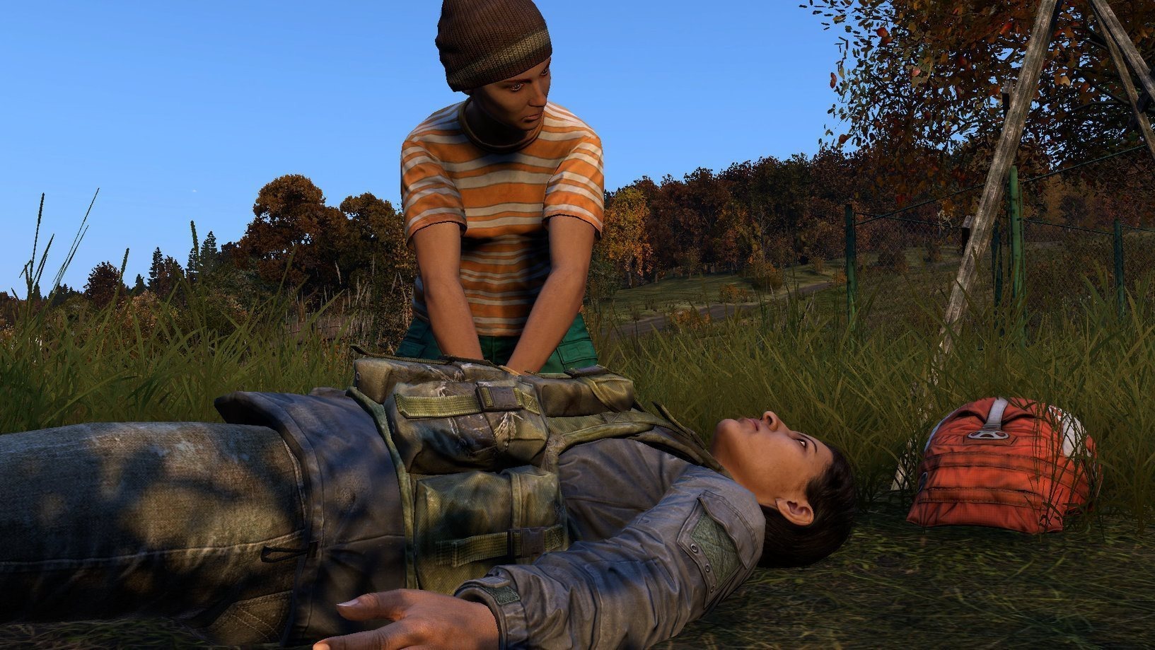 DayZ: Deluxe Edition PC