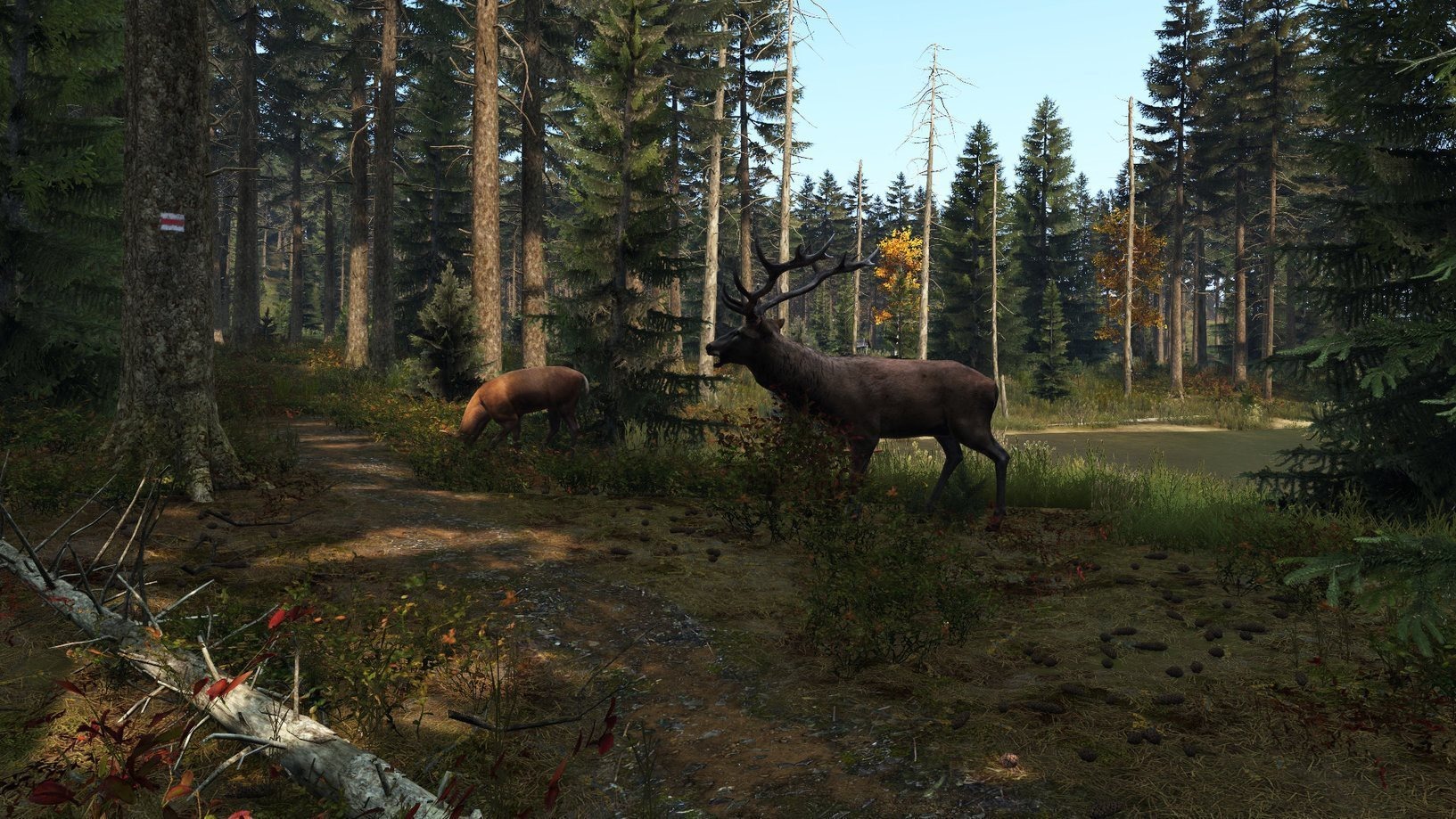 DayZ: Deluxe Edition PC