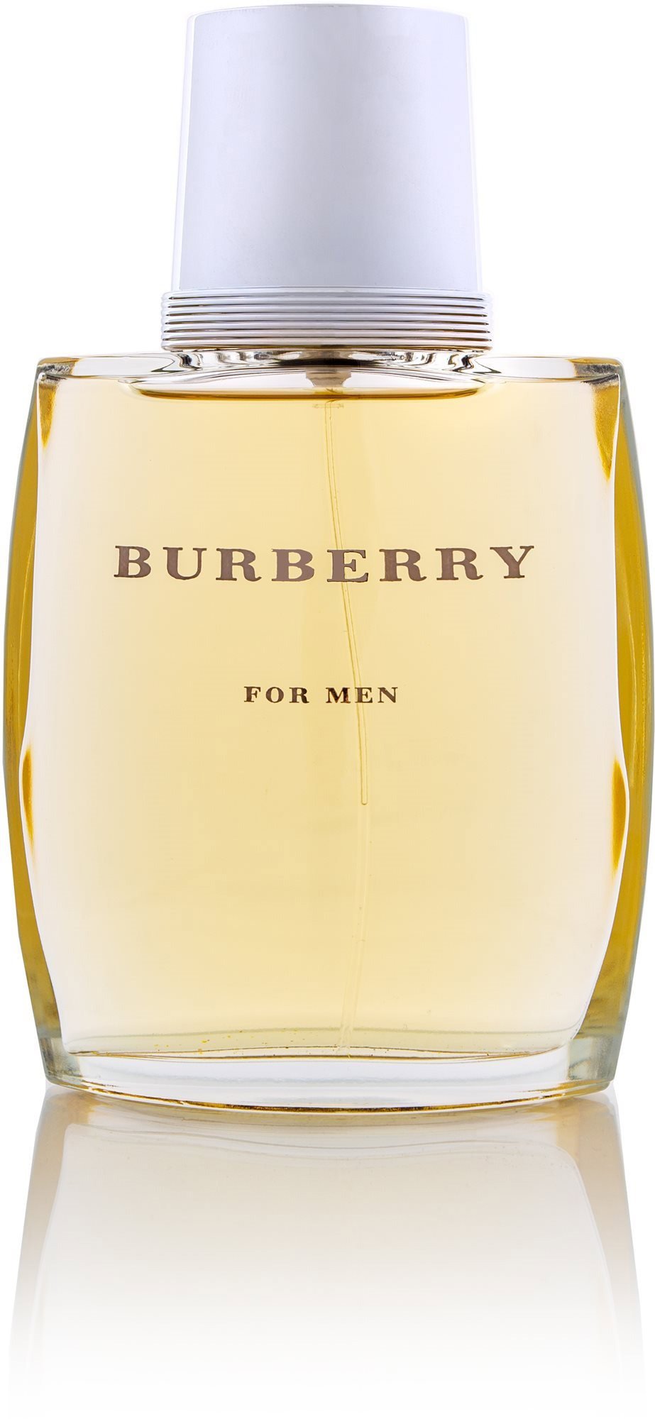 BURBERRY for Men Eau de Toilette 100 ml