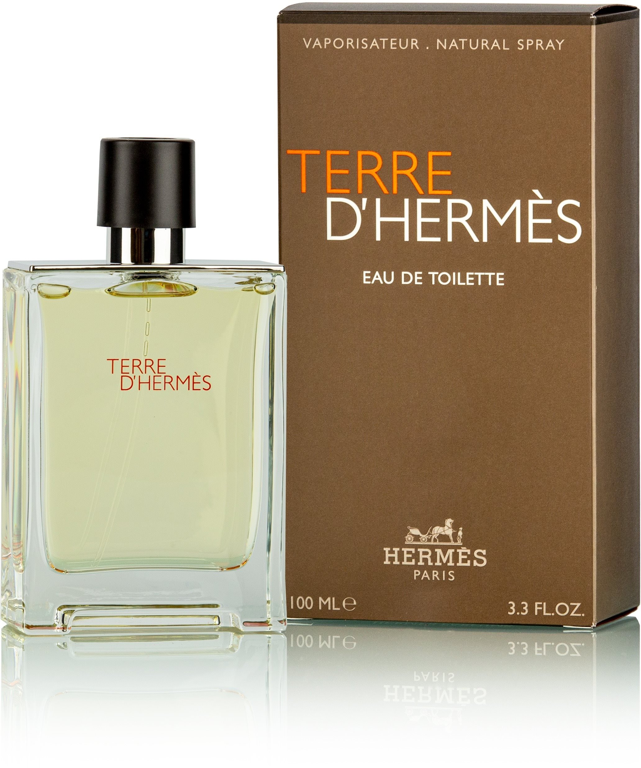 Eau de Toilette HERMES Terre d´Hermes EdT 100 ml