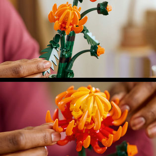 LEGO® Botanicals 10368 krizantém
