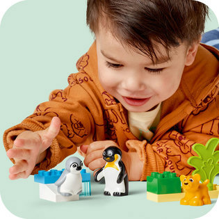 LEGO® DUPLO® Állatcsaládok a vadvilágban: Pingvinek és oroszlánok 10442