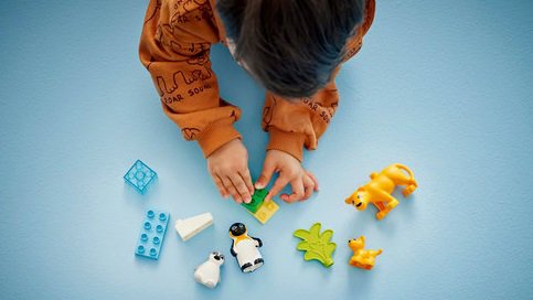 LEGO® DUPLO® Állatcsaládok a vadvilágban: Pingvinek és oroszlánok 10442