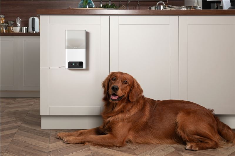 PetCube Bites 2 Lite aktivitásmérő kutyáknak és macskáknak