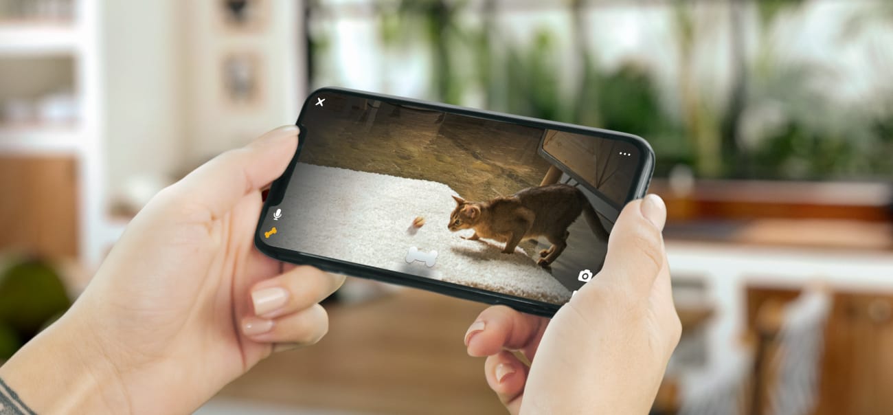 PetCube Bites 2 Lite aktivitásmérő kutyáknak és macskáknak