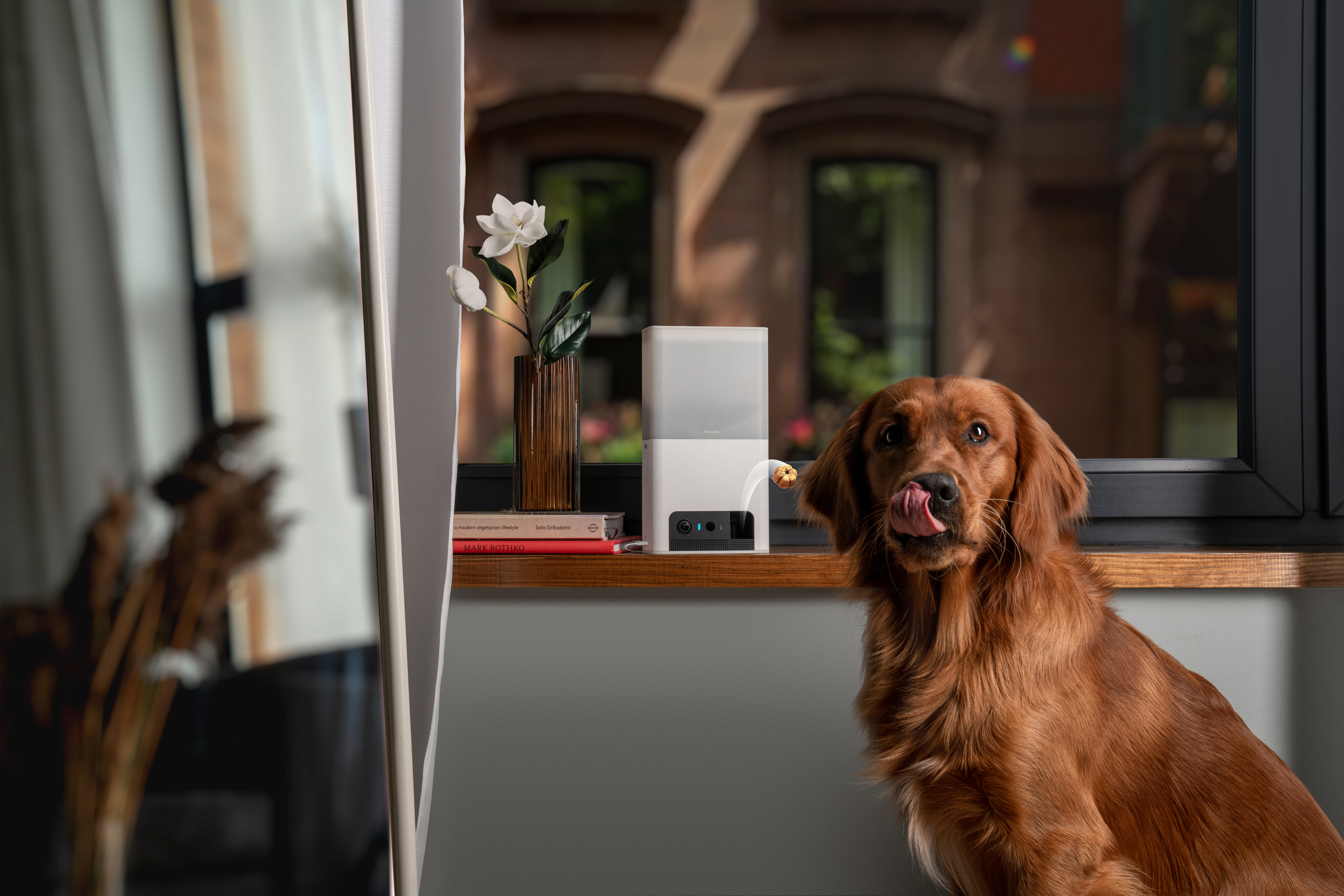 PetCube Bites 2 Lite aktivitásmérő kutyáknak és macskáknak