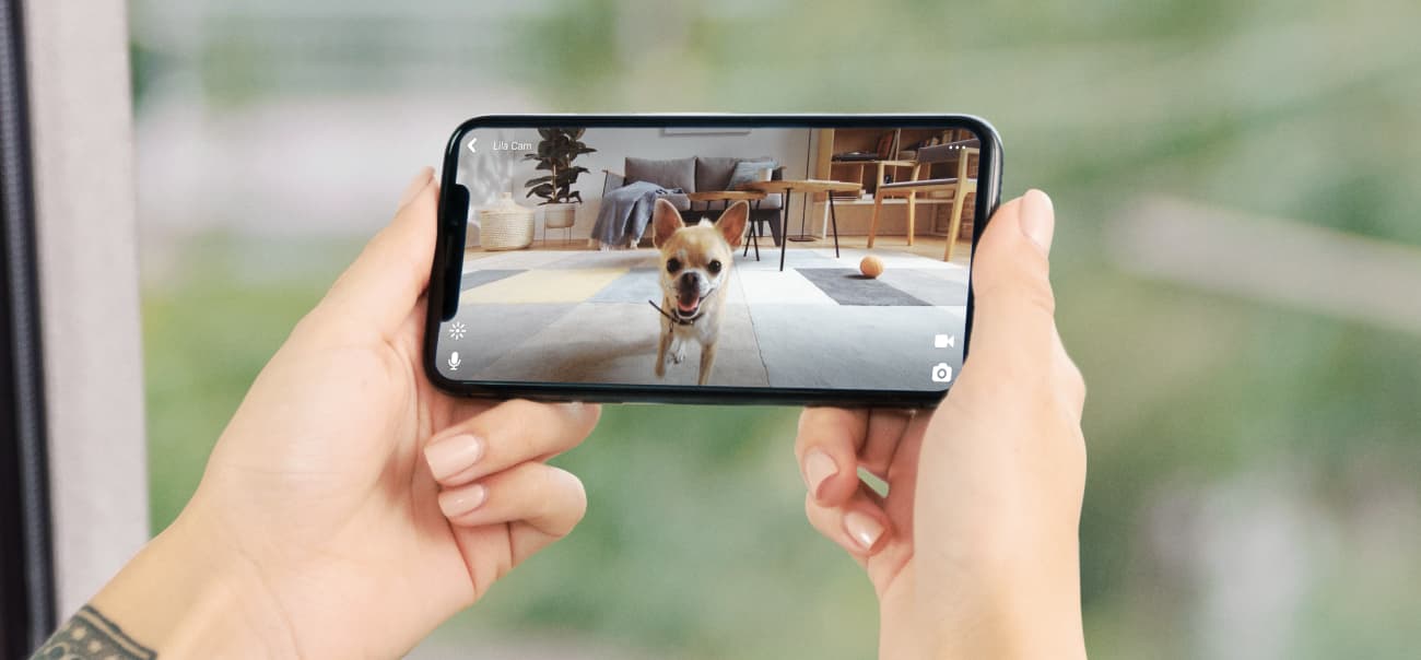 PetCube Play 2 aktivitásmérő kutyáknak és macskáknak