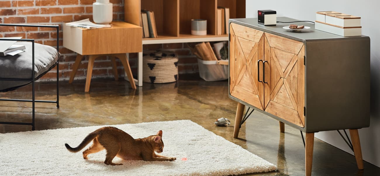 PetCube Play 2 aktivitásmérő kutyáknak és macskáknak