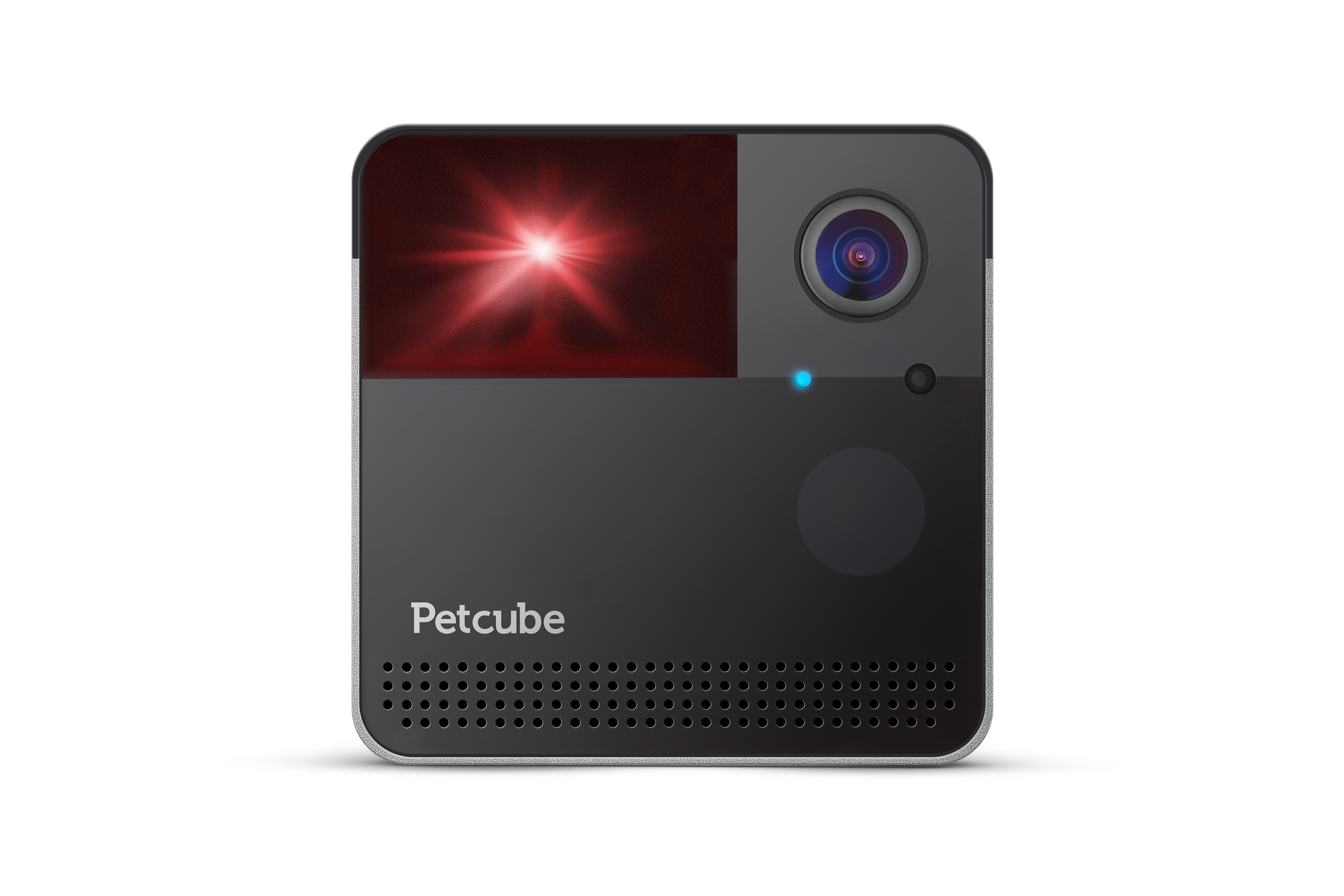 PetCube Play 2 aktivitásmérő kutyáknak és macskáknak