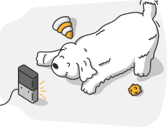 PetCube Play 2 aktivitásmérő kutyáknak és macskáknak