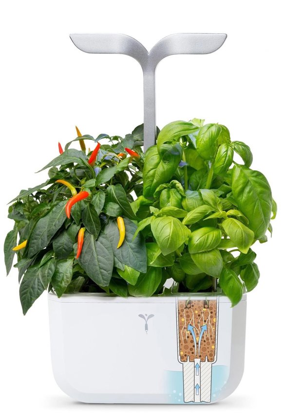 Smart Planter Exky okoskert automata fényvezérléssel, fehér + 2 fűszernövény utántöltővel