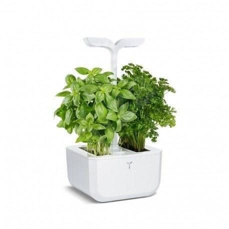 Smart Planter Exky okoskert automata fényvezérléssel, fehér + 2 fűszernövény utántöltővel