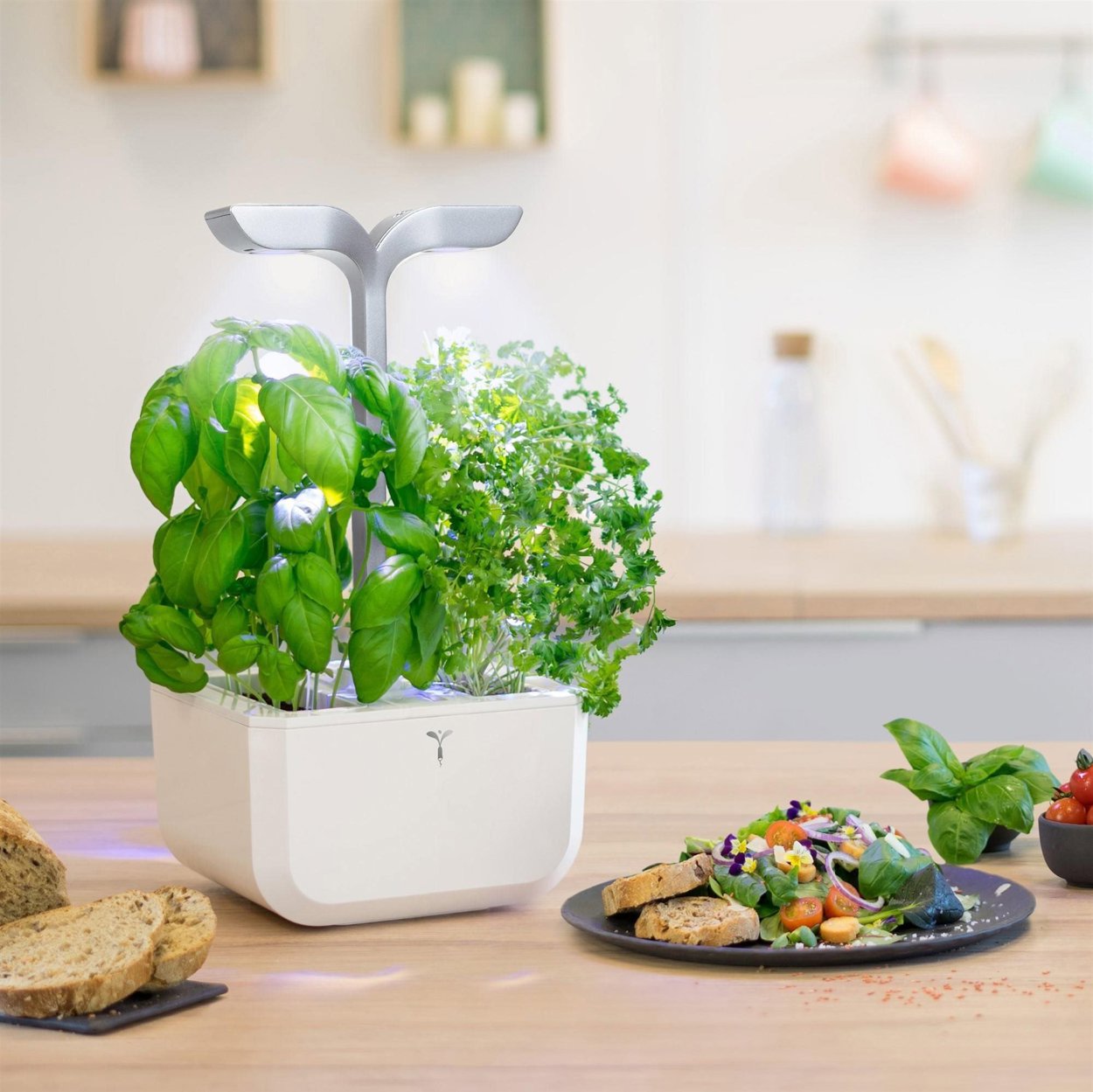 Smart Planter Exky okoskert automata fényvezérléssel, fehér + 2 fűszernövény utántöltővel