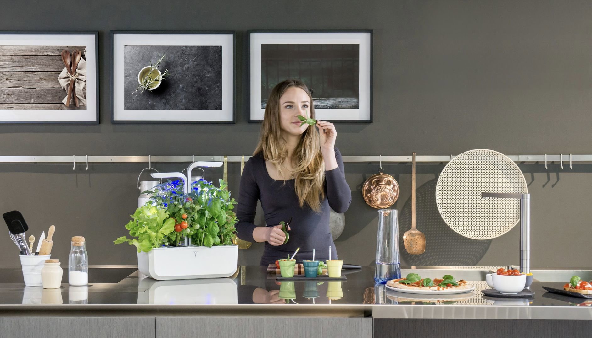 Véritable Lingot ültetvény - Rozmaring