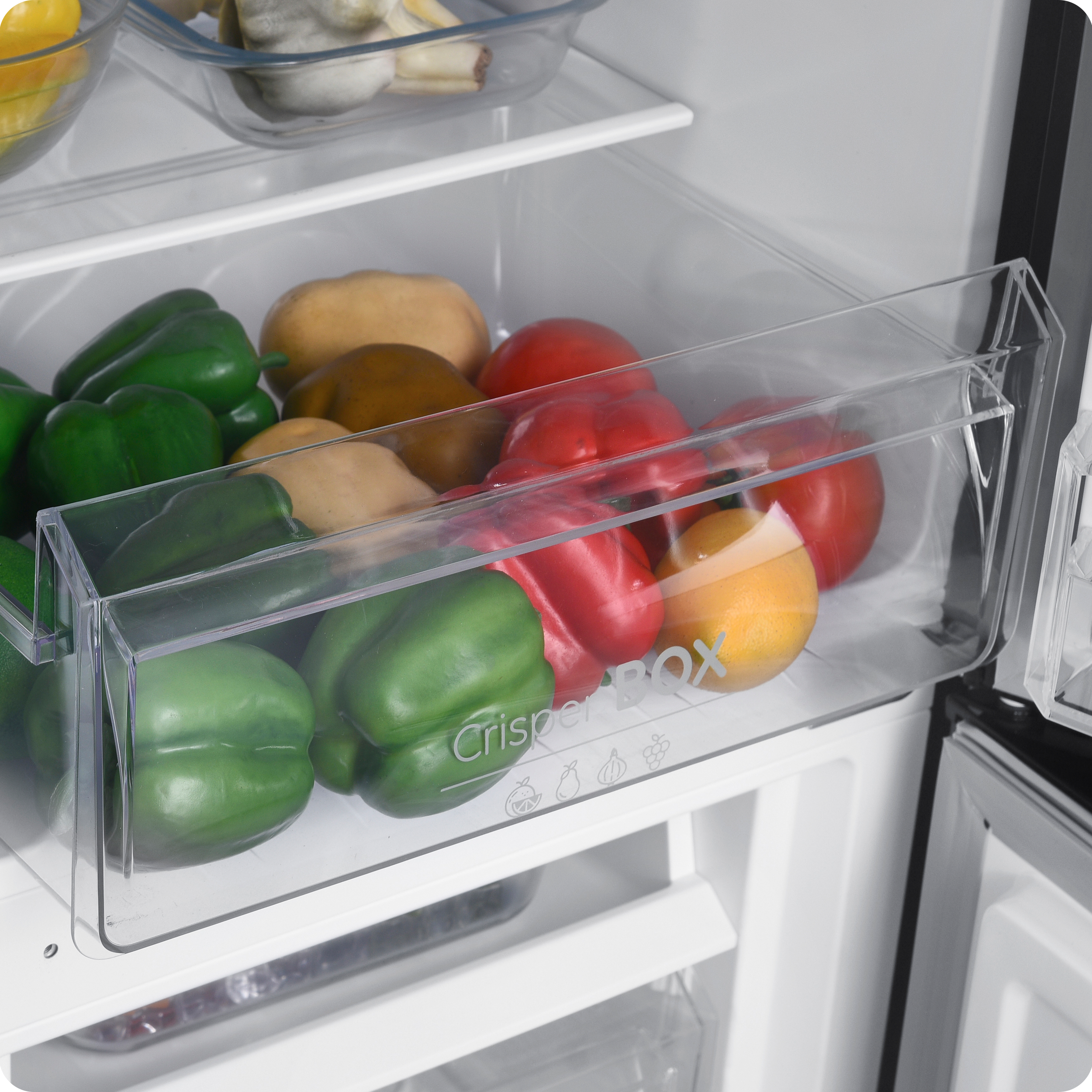 Hűtőszekrény SIGURO BF-C241Y Alapvető tudnivalók