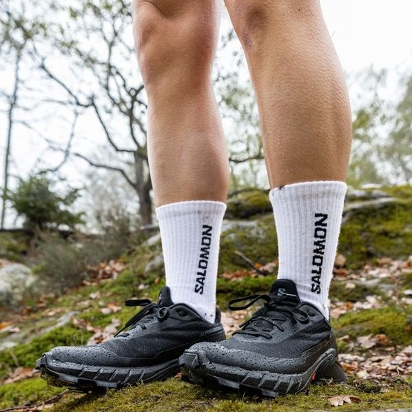 SALOMON Alphacross 5 GTX, Black/Black/Ebony futócipő