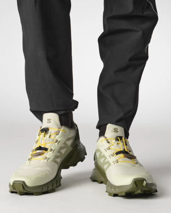 Salomon Supercross 4 Celadon Tint/Deep Lichen Green/Olive Night