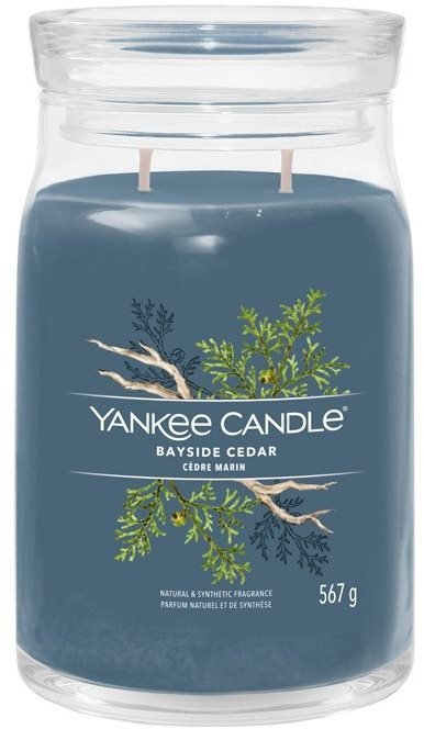 Aláírás üveg 2 kanóc Bayside Cedar 567 g