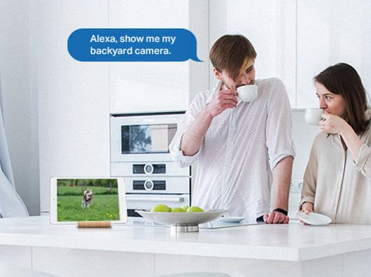 TP-Link Tapo TC40