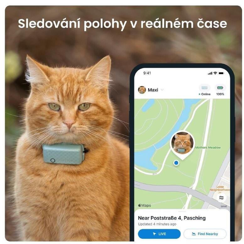 Tractive GPS CAT Mini, menta