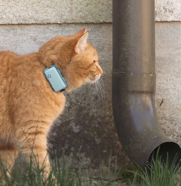 Tractive GPS CAT Mini, menta