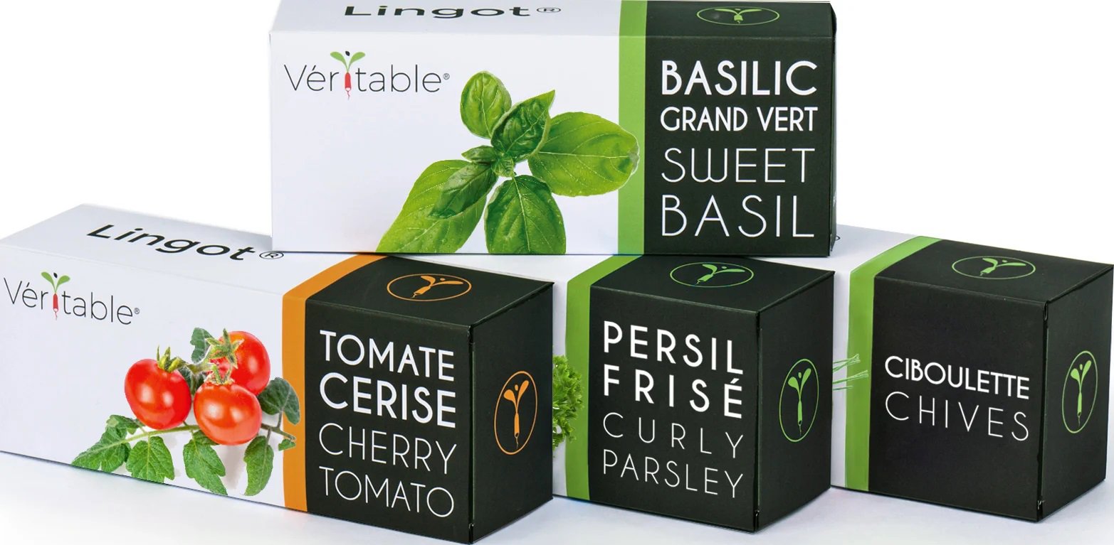 Véritable Lingot ültetvény - BIO marokkói menta
