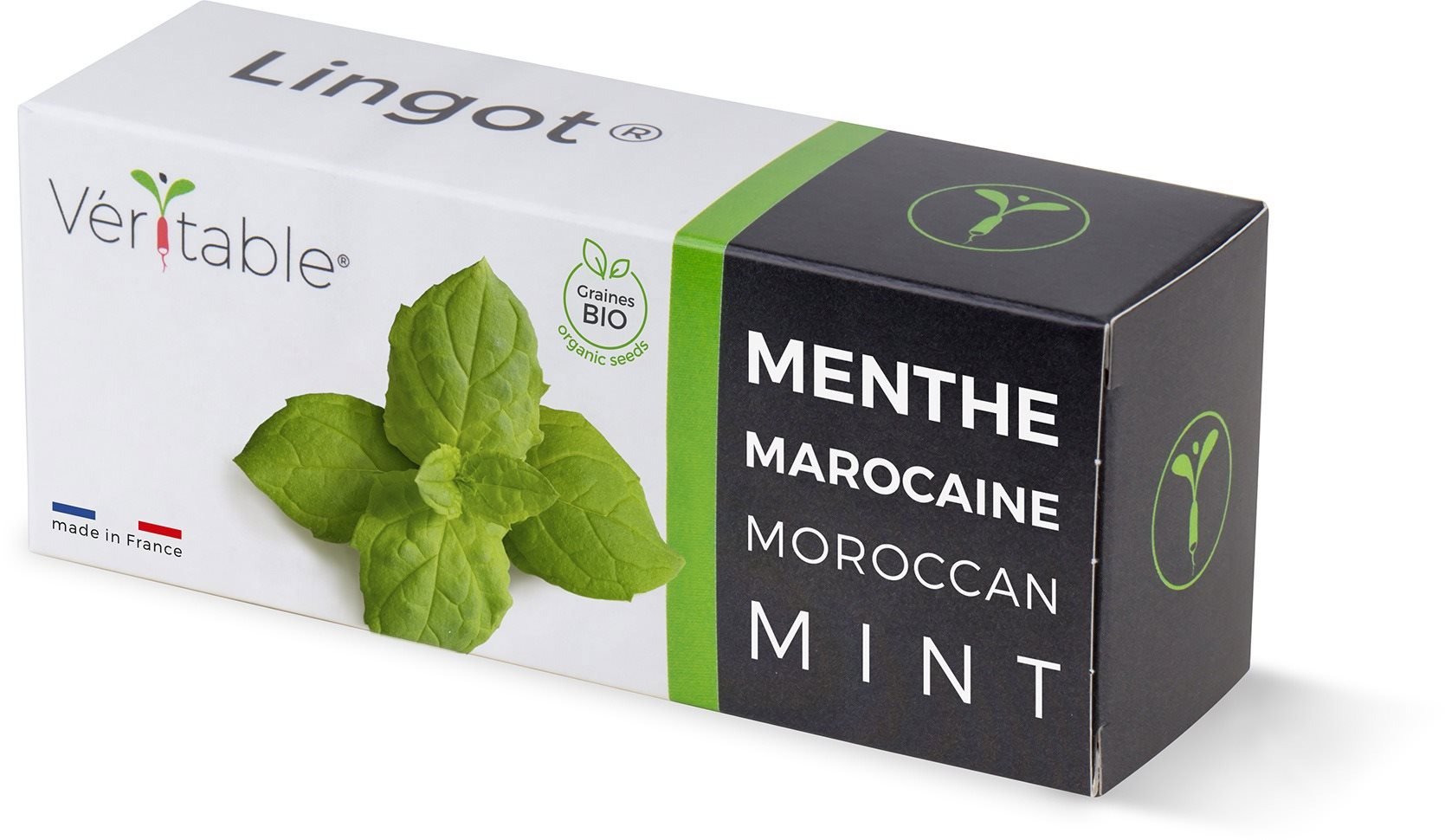 Marokkói menta - BIO