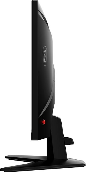 Monitor 24.5