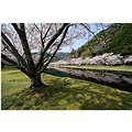 Sony 12-24 mm f / 4,0 g - Objektív