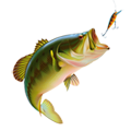 Horgászat
