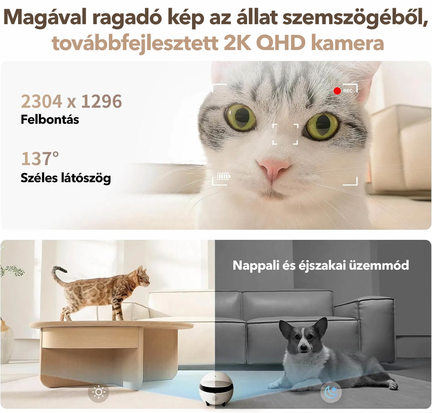 Enabot ROLA Mini robot - Robotikus társ 2K kamerával