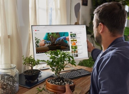 HP monitor