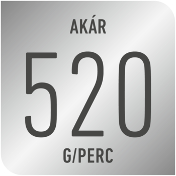 Tefal SV9202E0 Express Protect gőzállomás