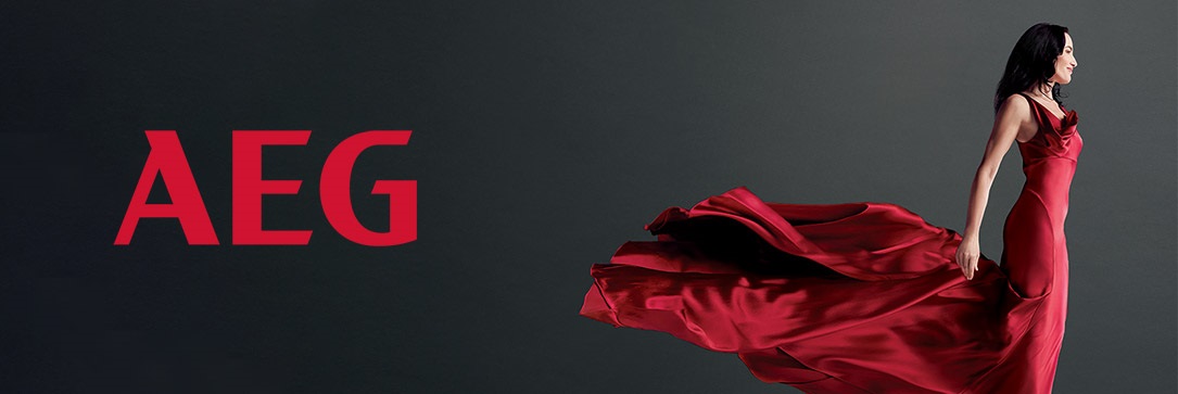 indukciós főzőlap aeg