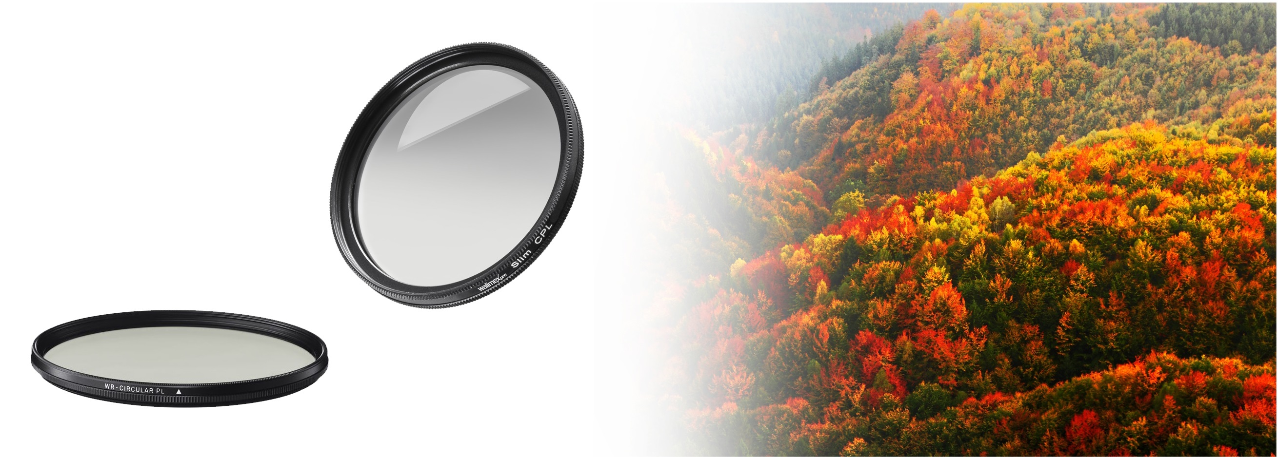 Polárszűrő hatása