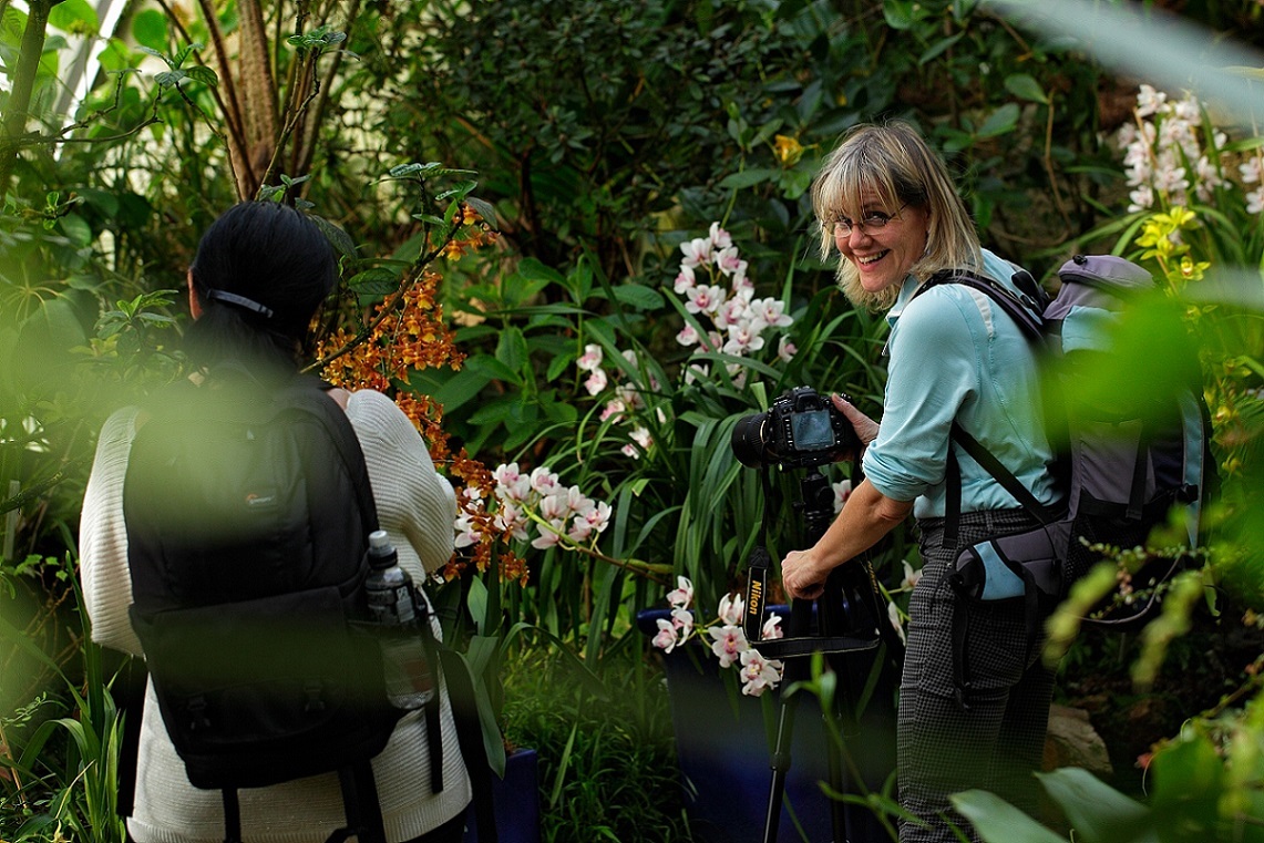 Makró fotó; Ondrej Prosicky; Fata Morgana; orchidea