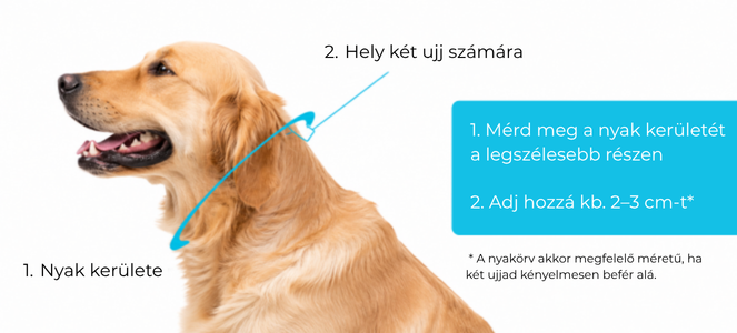 Világító nyakörvek kiskutyáknak