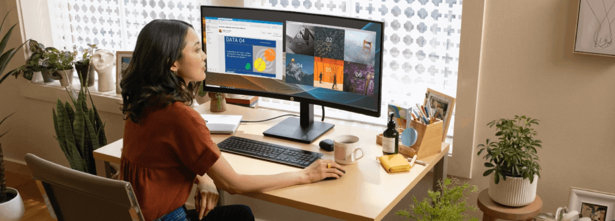 HP monitor