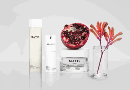 MATIS Paris Réponse Préventive