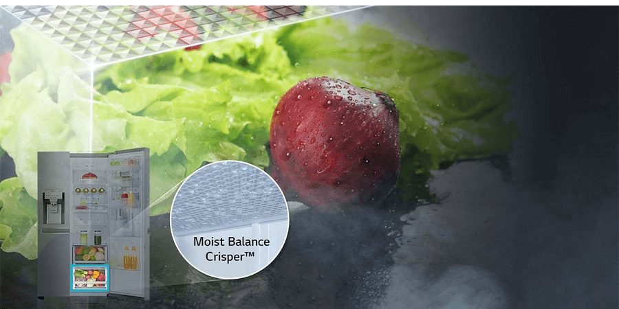 Moist Balance Crisper