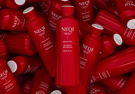 NEQI Repair Reveal