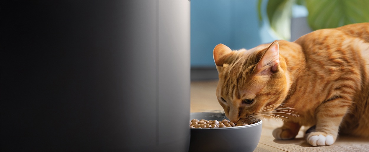 Philips PAW5320/02 automata etető kamerával 