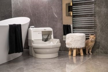 Öntisztító XXL macska WC