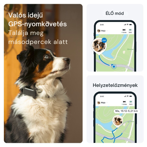 Tractive DOG 6 - GPS-nyomkövető kutyáknak és egészségügyi monitor, menta