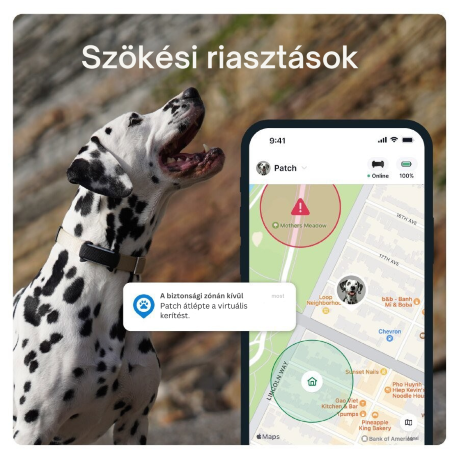Tractive DOG 6 - GPS-nyomkövető kutyáknak és egészségügyi monitor, menta