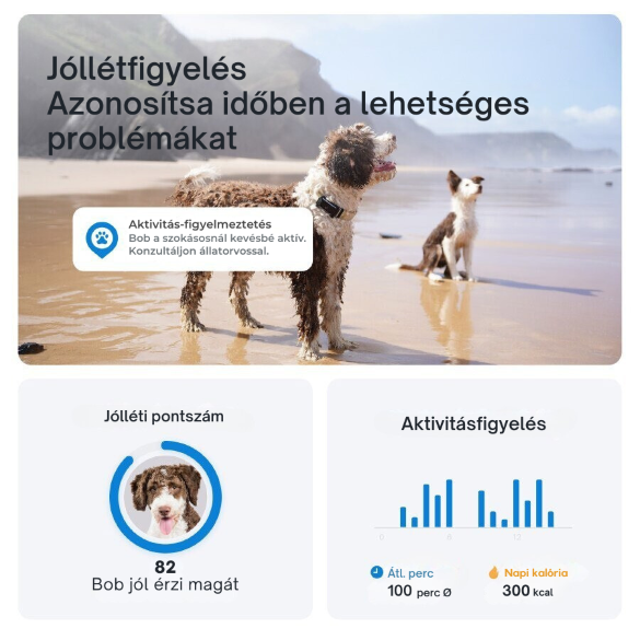 Tractive DOG 6 - GPS-nyomkövető kutyáknak és egészségügyi monitor, menta